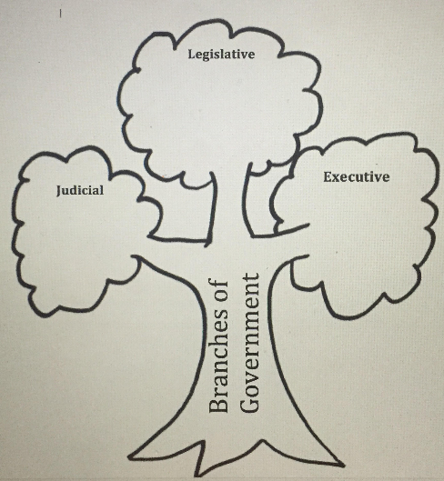 Three Branches Of Government Tree Worksheet